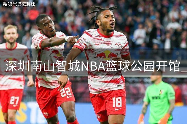 深圳南山智城NBA篮球公园开馆 贵州黔赫堂勇夺3X区域赛冠军